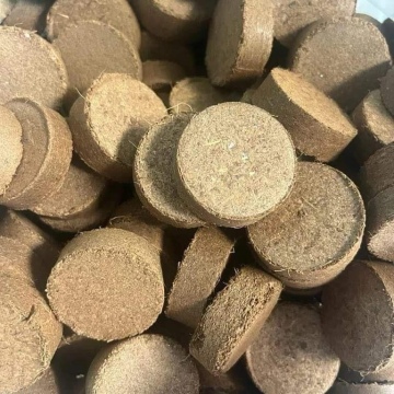 43MM COİN COCOPEAT