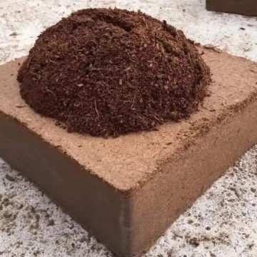 BLOKCOCOPEAT